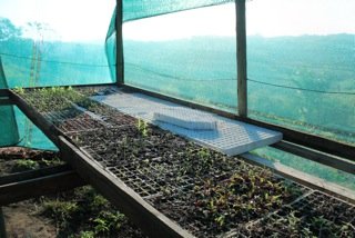 Help Rural Children Grow Their Own Food