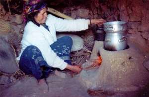 Cooking No Longer a Danger to Women's Health