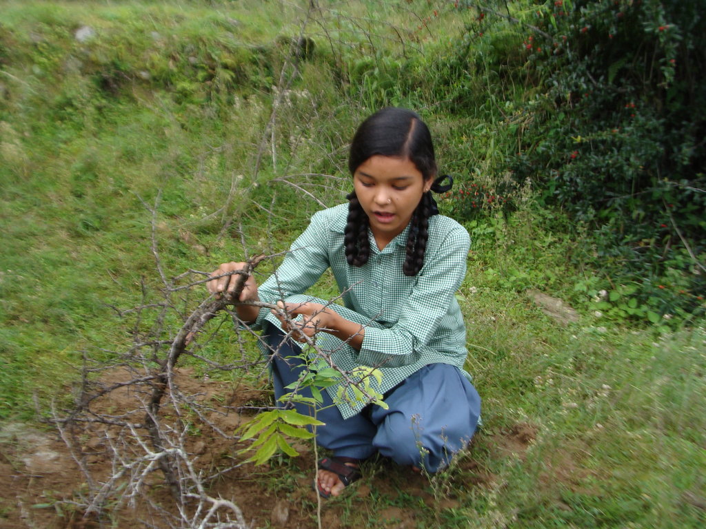 Support a Rural School in the Himalayas