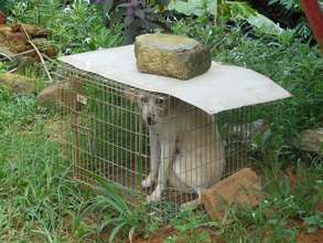 Your generous support helps animals like this
