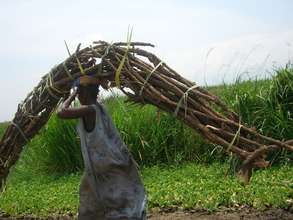 A widow caring woods for fire to cook