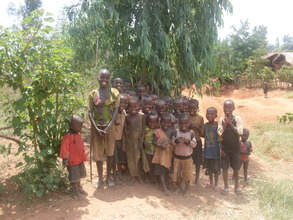 Current living situation of orphans in the area