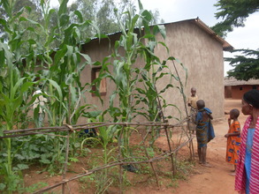 One of the 4 houses built for a widow family