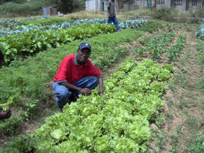 Agronomist Wedly Deceus, reporting from Haiti.