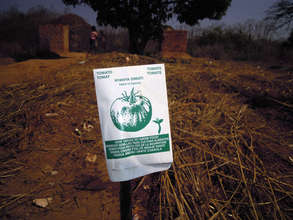 SPI Seed Packets are Printed in Local Languages.