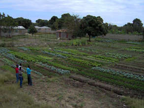 Long View School Garden