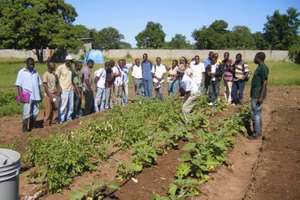 Teaching about Bucket Drip Irrigation