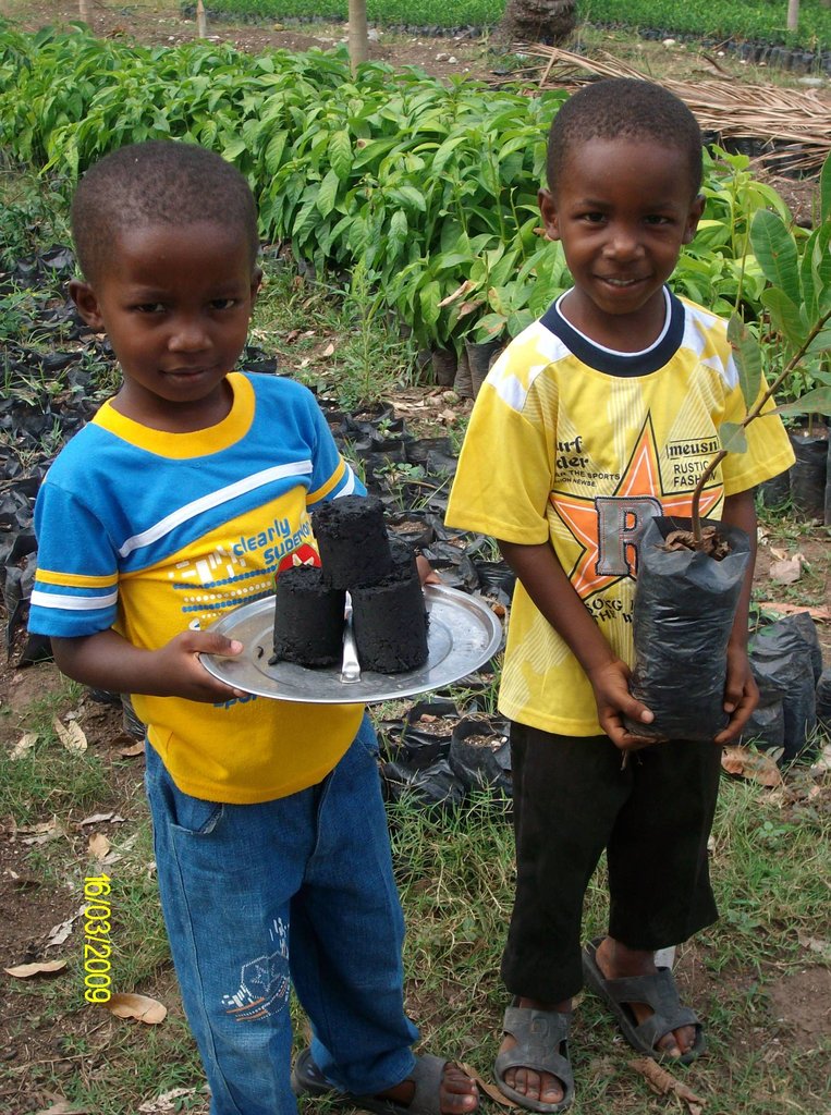 Provide Seeds for Haitians to Grow 50 Tons of Food