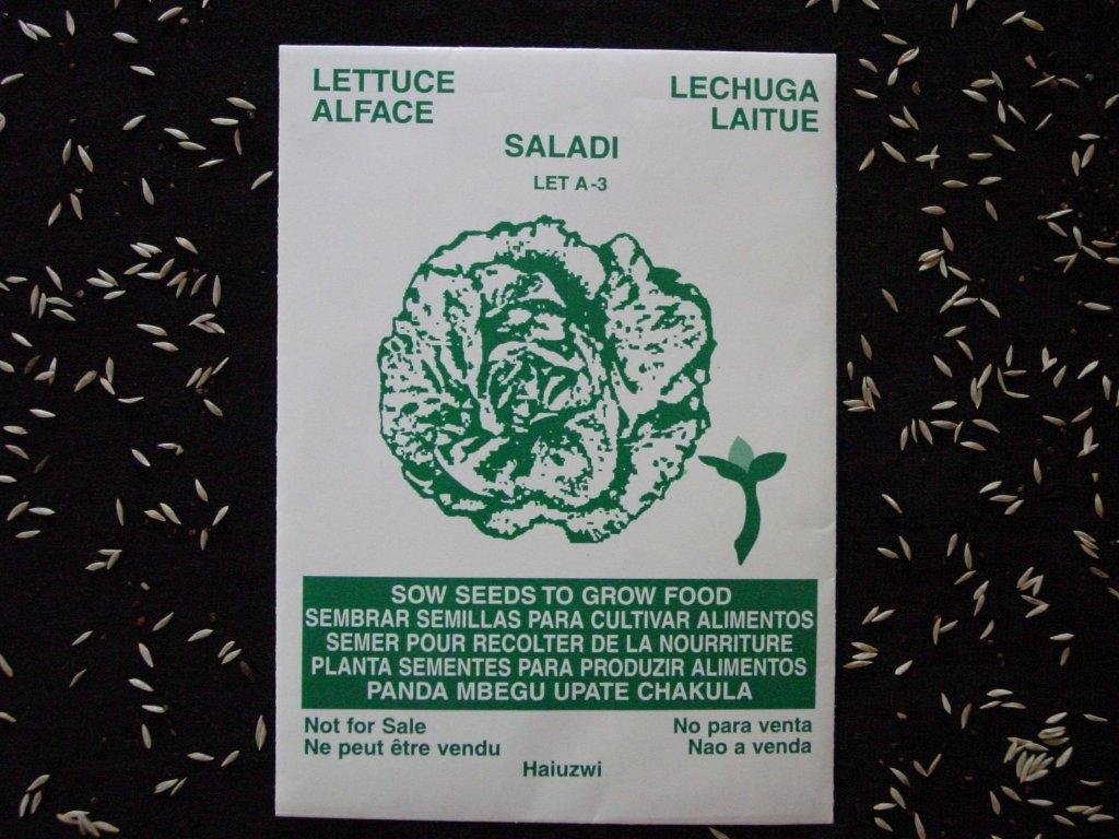 Provide Seeds for Haitians to Grow 50 Tons of Food