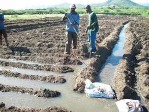 preparing land