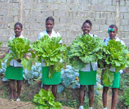 haitian schoolgirls with greens