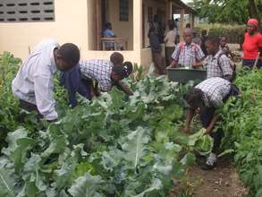 school garden