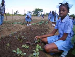 Girl raising beets in school garden.