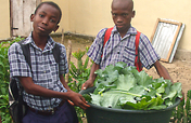 Provide Seeds for Haitians to Grow 50 Tons of Food