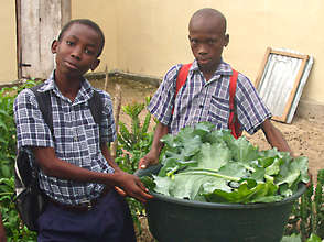 Provide Seeds for Haitians to Grow 50 Tons of Food