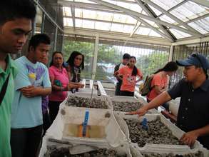 Estudio Damgo II