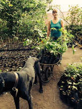 Dena Sanftleben, planting trees for Earth Day