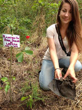 Gretchen Engbring, planting for Ryan Stallard