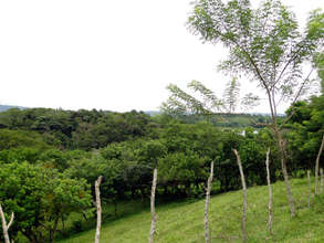 Ground Level