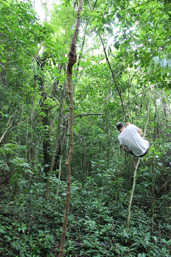 Tarzan swing = natural fun