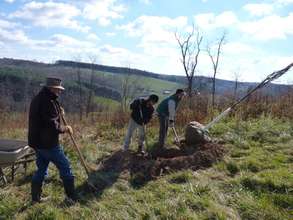 Hole Dug for a Linden Tree