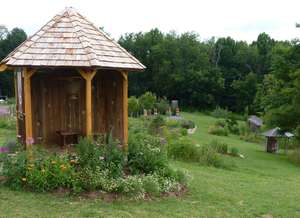 A Closer View of the Bee Island