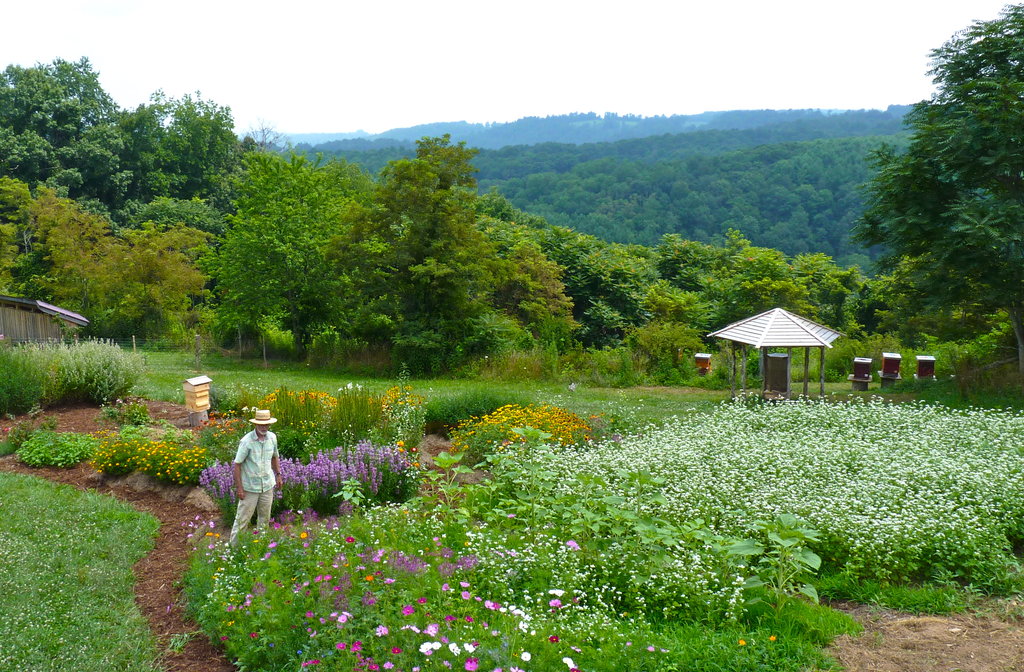 Hillside Restoration & Pollinator Habitat Creation