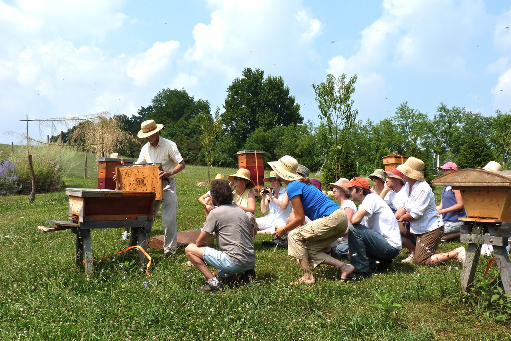 Hillside Restoration & Pollinator Habitat Creation