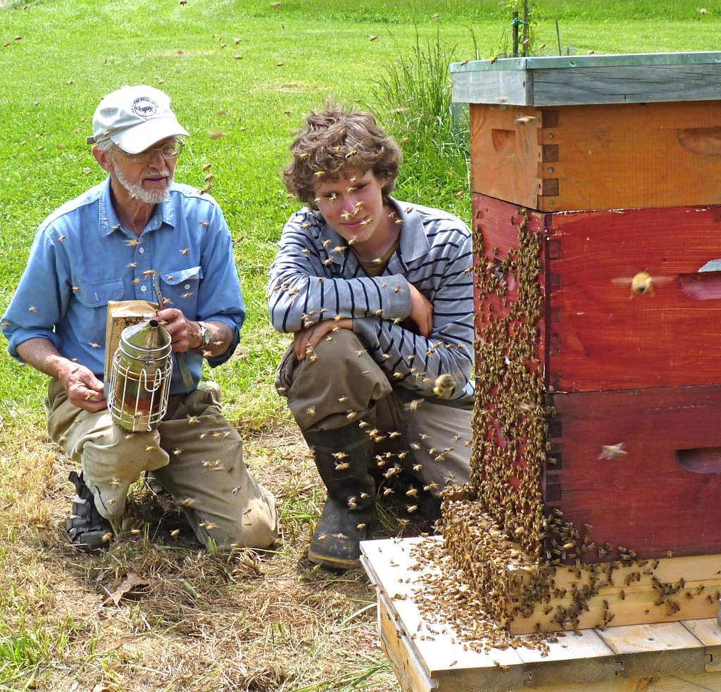 Hillside Restoration & Pollinator Habitat Creation
