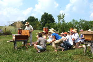 Beekeeping Class