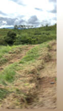 finca Joaquin year 1
