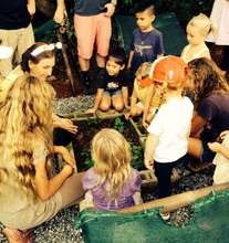 planting seeds