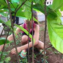 The whole family participated in identifying trees