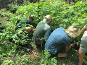Treenagers youth volunteering in our Tree nursery