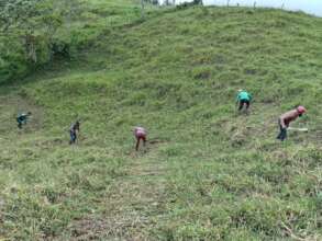 Our work crews are the heroes of the rainforest