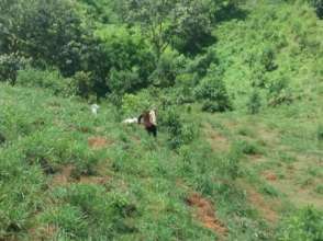 Tree Planters work hard and deserve to be paid