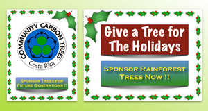 Give Rainforest Trees for Holiday Gifts