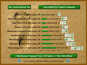 Holiday Travel Offset CO2