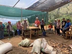 Tree Nurseries are the Heart of our work