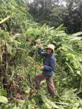 Jenny loves to be in the field with the crews
