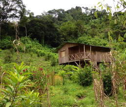 Omar's wooden house