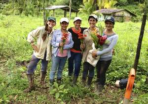 Flowers of Costa Rica