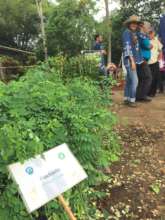 Biodiversity is key with community involvement!