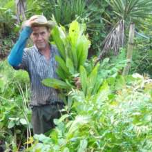 Alvaro Tree Nursery Manager Thanks you too!