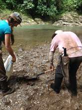 Alvaro and Jenny collect cow poop from riverside