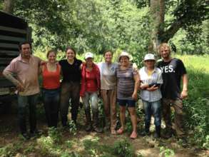 Creating employment  stops deforestation