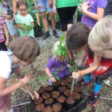 Children giving baby trees a helping hand