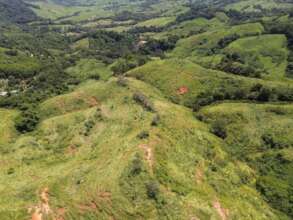 overview of Finca Joaquin zone of planting