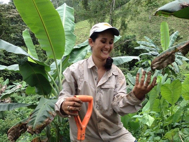 Plant 30,000 native trees Costa Rican owned farms