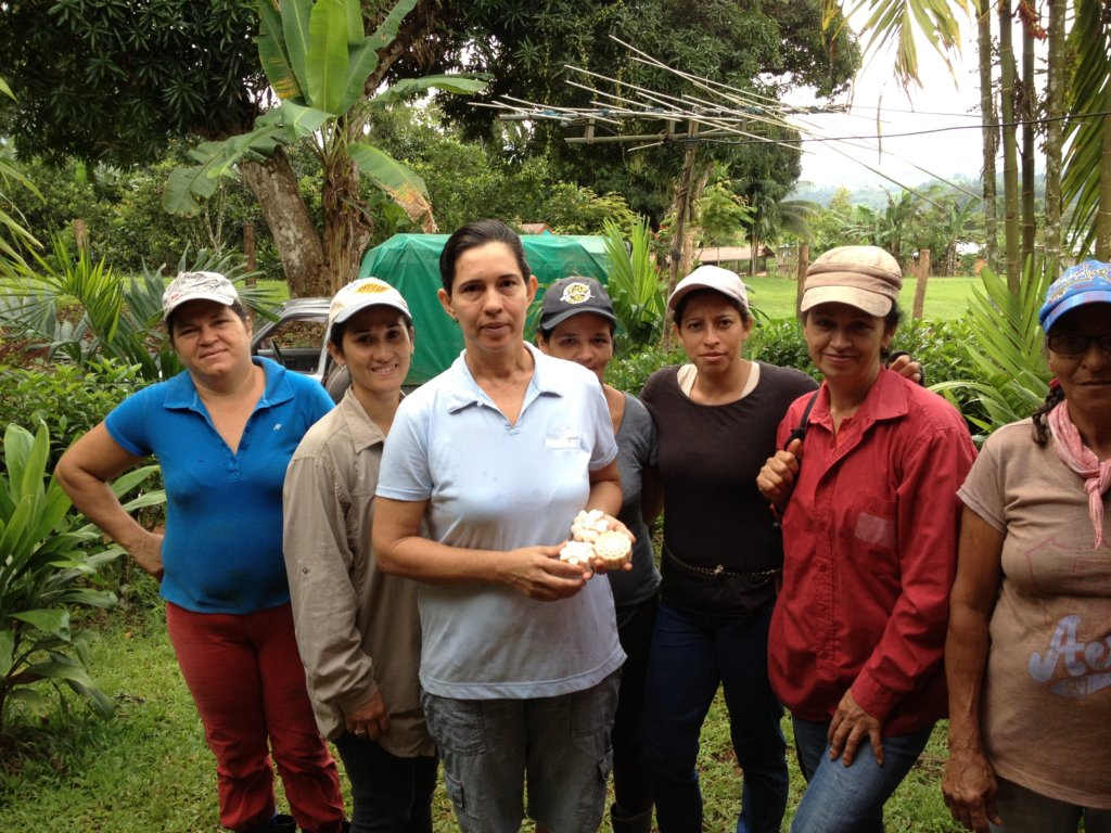 Plant 30,000 native trees Costa Rican owned farms